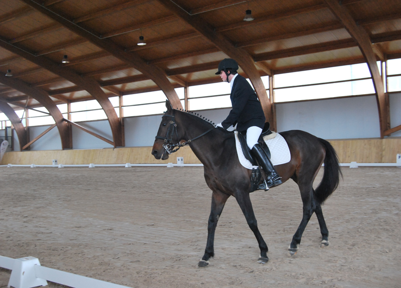 Cuatro Medallas en el Campeonato de España FEDDI